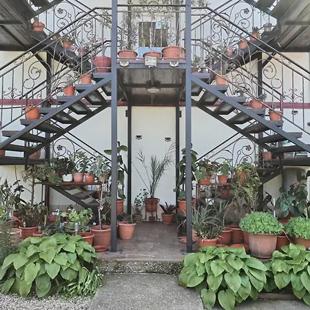Vila Robert Maison d'hôtes Schitu