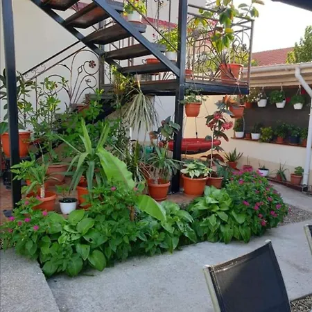 招待所 Vila Robert